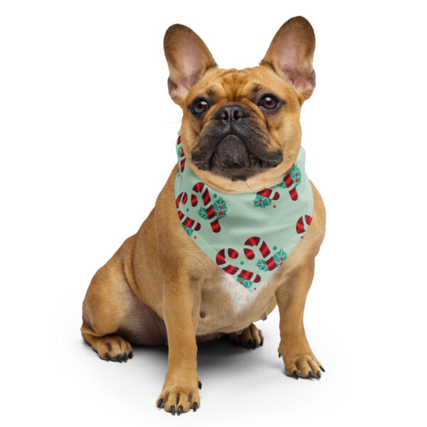 Christmas Candy Canes Match All-over print bandana Omnitab Classics for cats and dogs - owners and pets