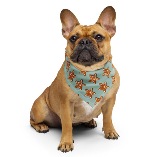 Christmas Ginger Bread Stars blue and brown Match All-over print bandana Omnitab Classics for cats and dogs - owners and pets